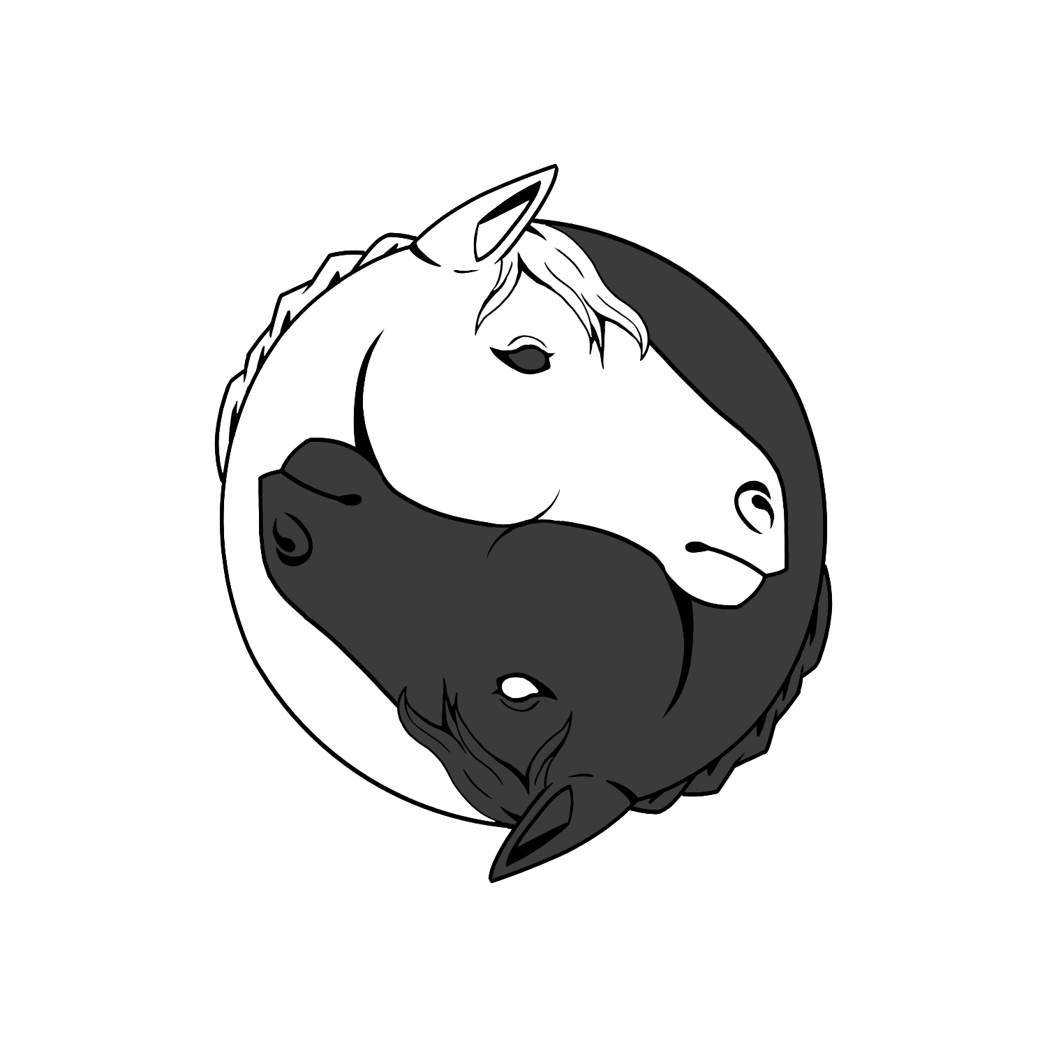 BMR Williams Bodywork and Horsemanship